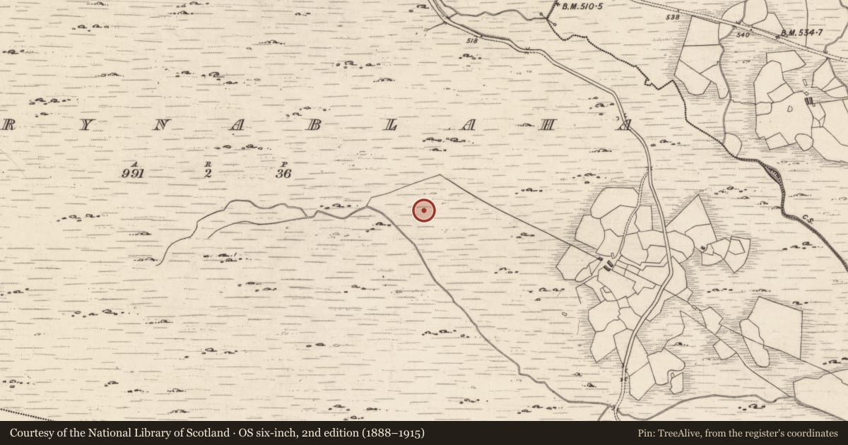 Ordnance Survey six-inch map, 2nd edition (1888–1915) covering the location of Rock art, Derrynablaha, County Kerry, with a pin at the register's coordinates