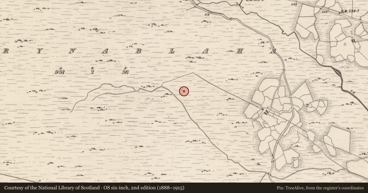 Ordnance Survey six-inch map, 2nd edition (1888–1915) covering the location of Rock art, Derrynablaha, County Kerry, with a pin at the register's coordinates