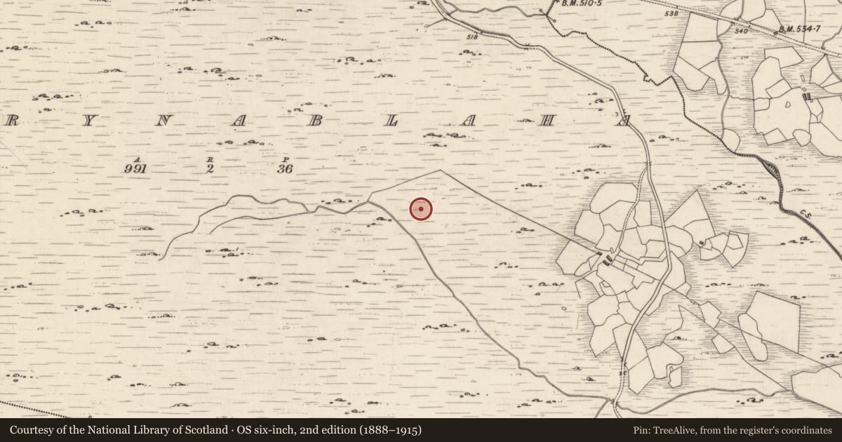 Ordnance Survey six-inch map, 2nd edition (1888–1915) covering the location of Rock art, Derrynablaha, County Kerry, with a pin at the register's coordinates