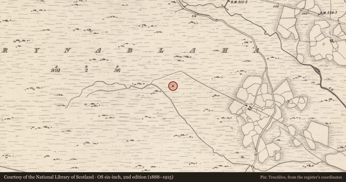 Ordnance Survey six-inch map, 2nd edition (1888–1915) covering the location of Rock art, Derrynablaha, County Kerry, with a pin at the register's coordinates