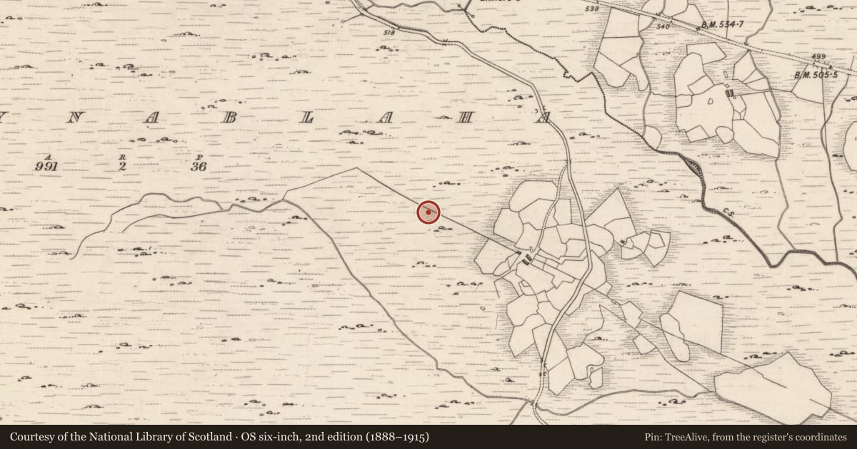 Ordnance Survey six-inch map, 2nd edition (1888–1915) covering the location of Rock art, Derrynablaha, County Kerry, with a pin at the register's coordinates