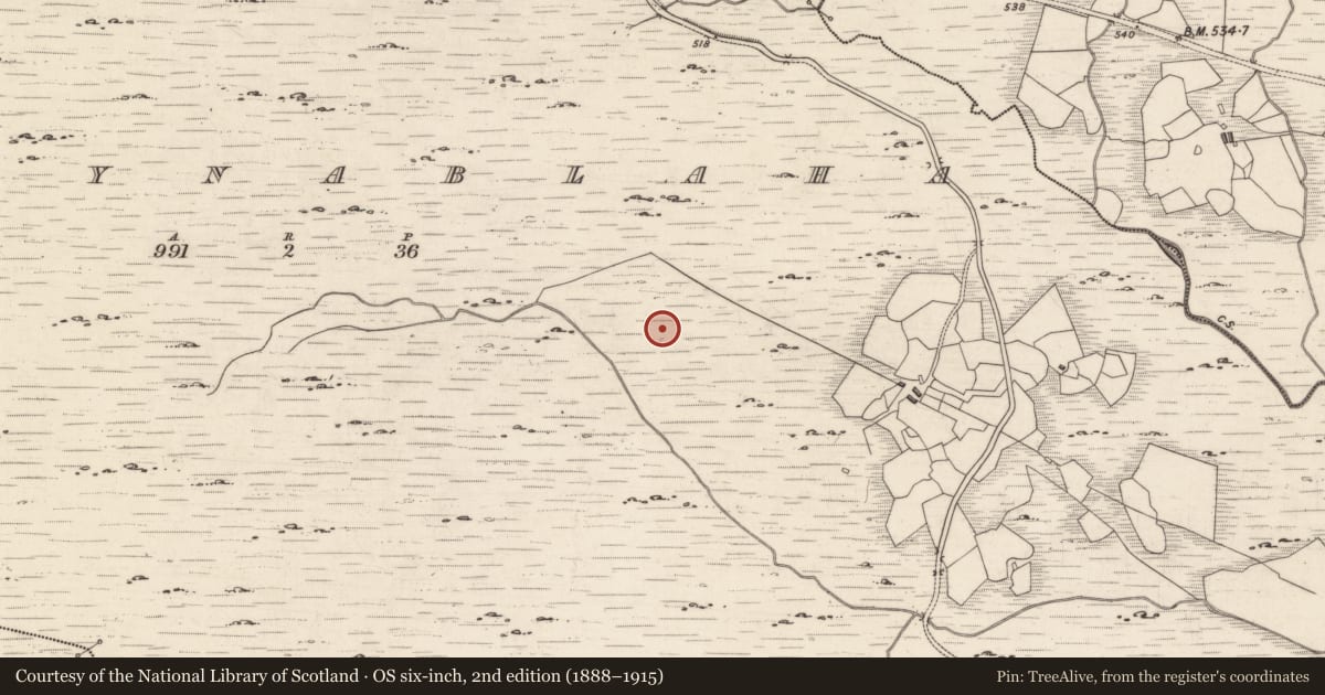Ordnance Survey six-inch map, 2nd edition (1888–1915) covering the location of Rock art, Derrynablaha, County Kerry, with a pin at the register's coordinates