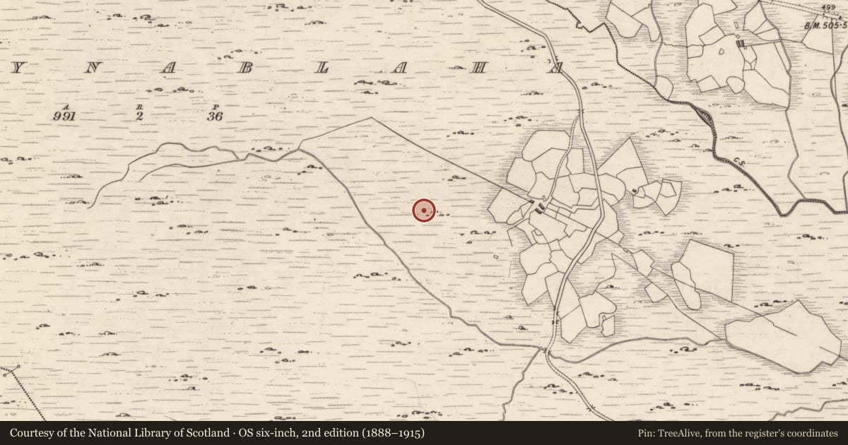 Ordnance Survey six-inch map, 2nd edition (1888–1915) covering the location of Rock art, Derrynablaha, County Kerry, with a pin at the register's coordinates