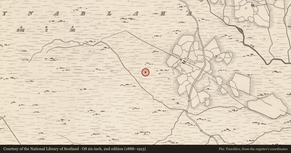 Ordnance Survey six-inch map, 2nd edition (1888–1915) covering the location of Rock art, Derrynablaha, County Kerry, with a pin at the register's coordinates