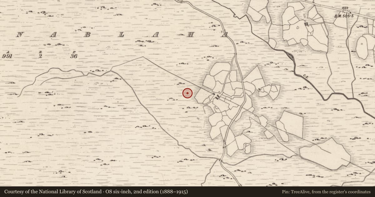 Ordnance Survey six-inch map, 2nd edition (1888–1915) covering the location of Rock art, Derrynablaha, County Kerry, with a pin at the register's coordinates