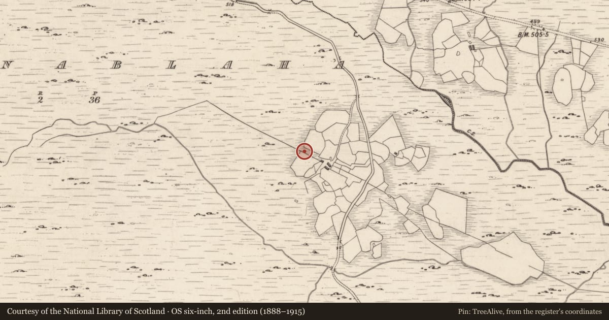 Ordnance Survey six-inch map, 2nd edition (1888–1915) covering the location of Rock art, Derrynablaha, County Kerry, with a pin at the register's coordinates
