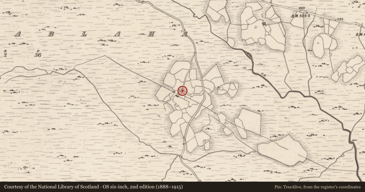 Ordnance Survey six-inch map, 2nd edition (1888–1915) covering the location of Rock art, Derrynablaha, County Kerry, with a pin at the register's coordinates