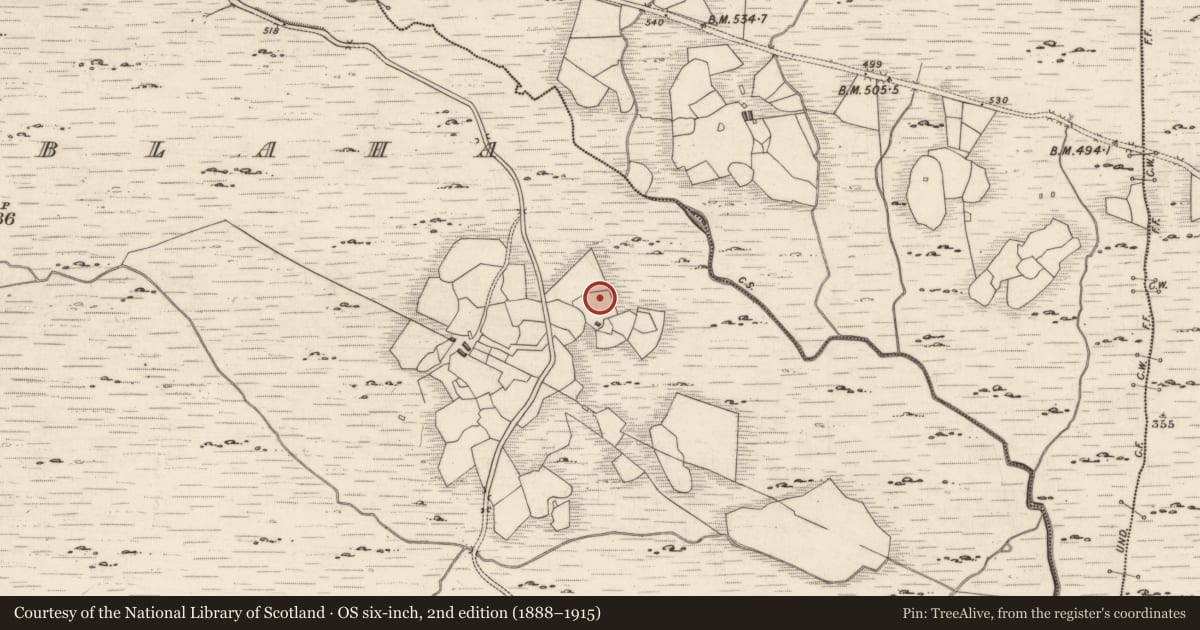 Ordnance Survey six-inch map, 2nd edition (1888–1915) covering the location of Rock art, Derrynablaha, County Kerry, with a pin at the register's coordinates