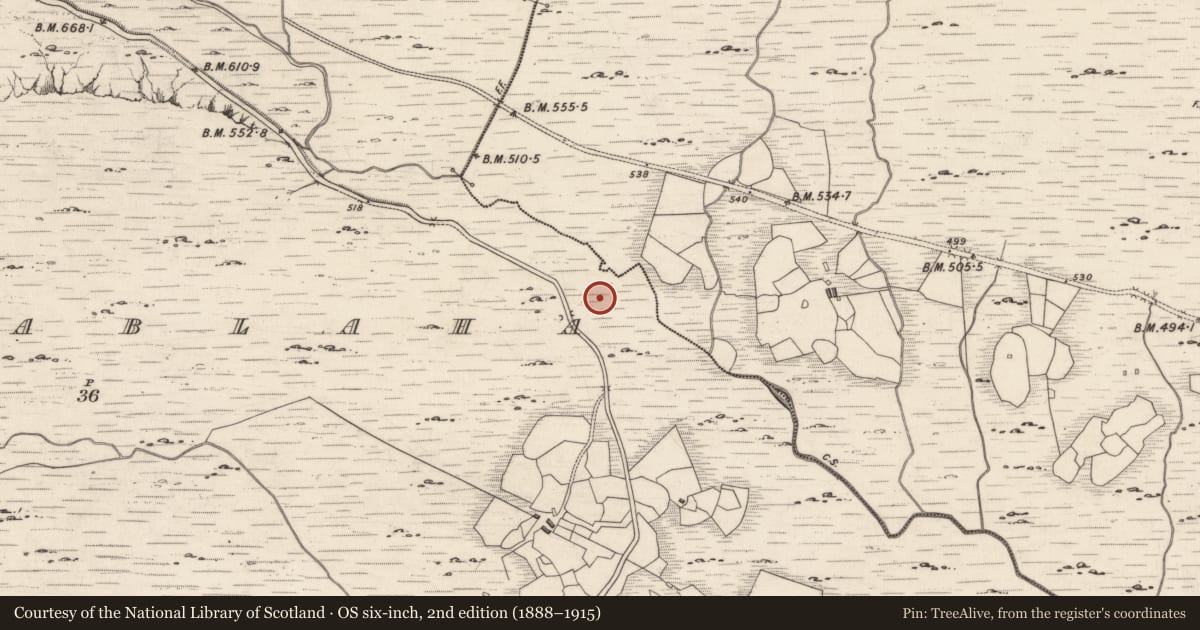 Ordnance Survey six-inch map, 2nd edition (1888–1915) covering the location of Rock art, Derrynablaha, County Kerry, with a pin at the register's coordinates