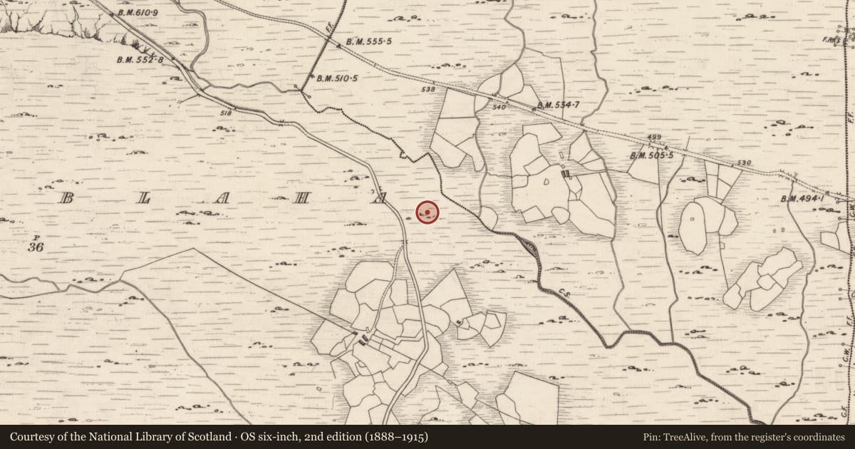 Ordnance Survey six-inch map, 2nd edition (1888–1915) covering the location of Standing stone, Derrynablaha, County Kerry, with a pin at the register's coordinates