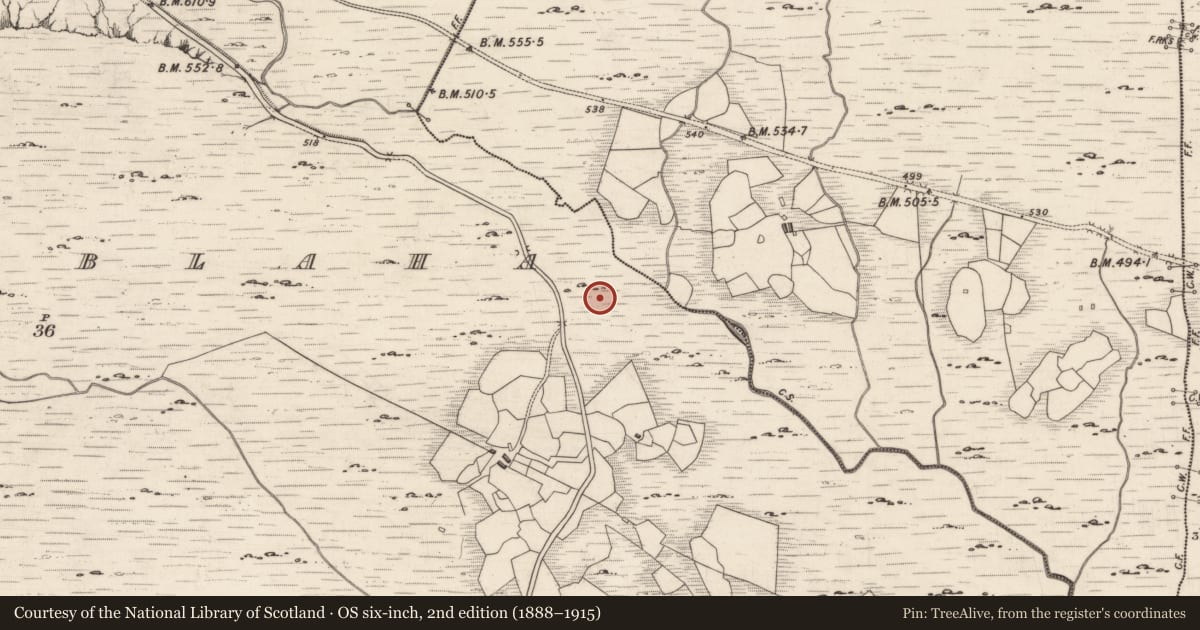 Ordnance Survey six-inch map, 2nd edition (1888–1915) covering the location of Rock art, Derrynablaha, County Kerry, with a pin at the register's coordinates