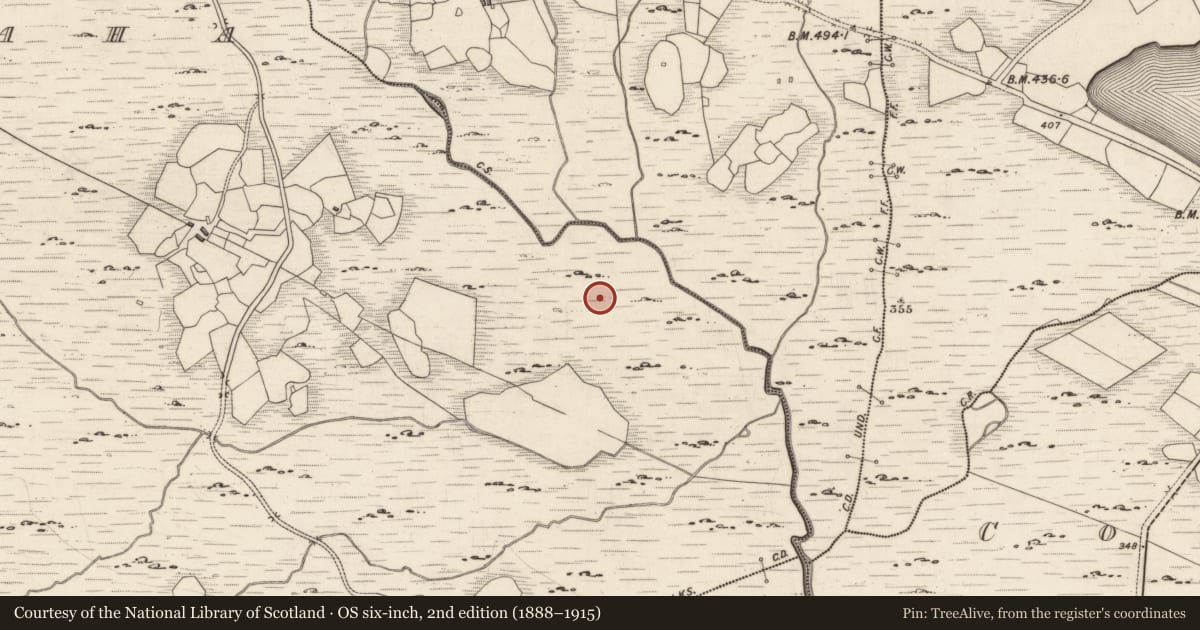 Ordnance Survey six-inch map, 2nd edition (1888–1915) covering the location of Rock art, Derrynablaha, County Kerry, with a pin at the register's coordinates