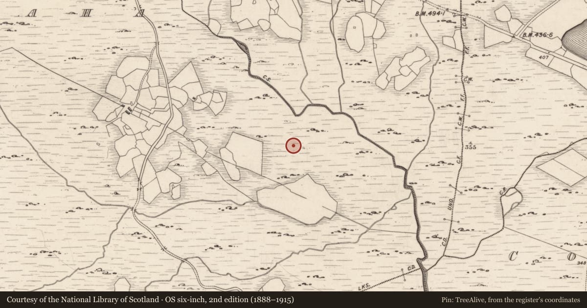 Ordnance Survey six-inch map, 2nd edition (1888–1915) covering the location of Cupmarked stone, Derrynablaha, County Kerry, with a pin at the register's coordinates