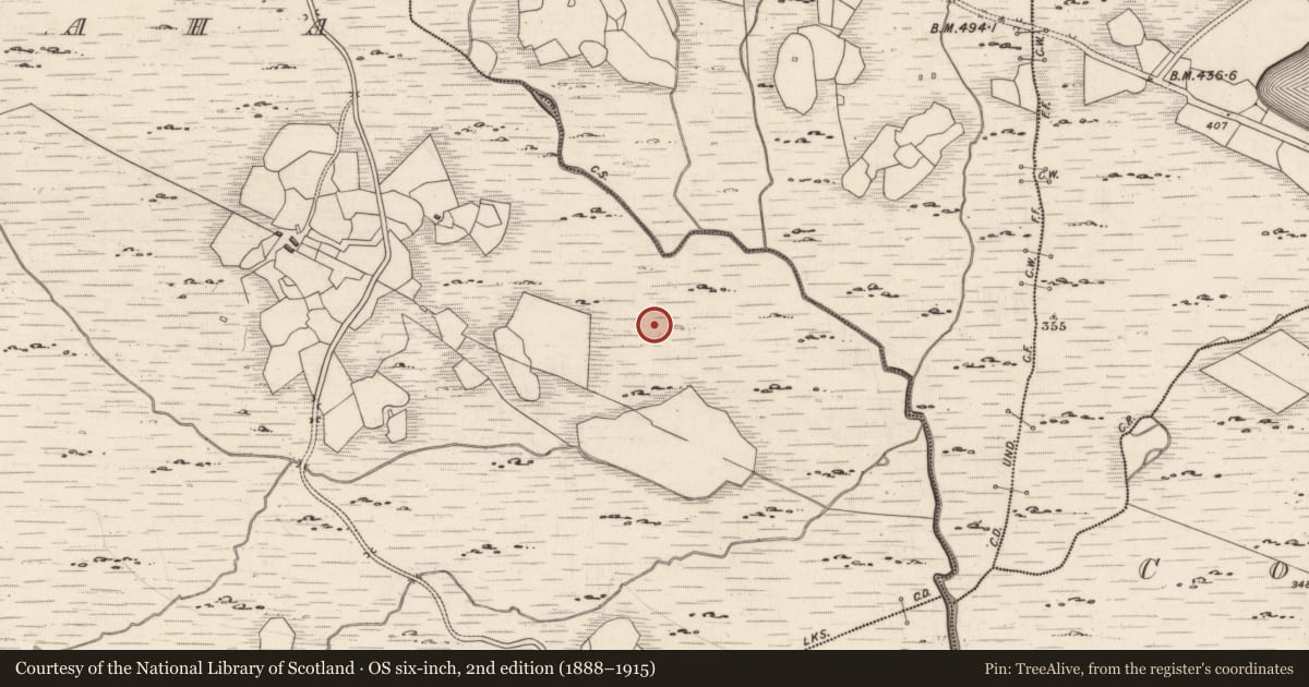 Ordnance Survey six-inch map, 2nd edition (1888–1915) covering the location of Cupmarked stone, Derrynablaha, County Kerry, with a pin at the register's coordinates
