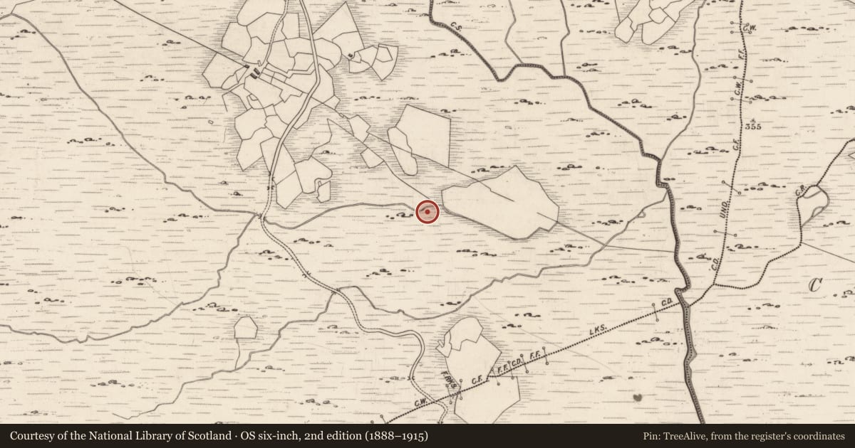 Ordnance Survey six-inch map, 2nd edition (1888–1915) covering the location of Rock art, Derrynablaha, County Kerry, with a pin at the register's coordinates