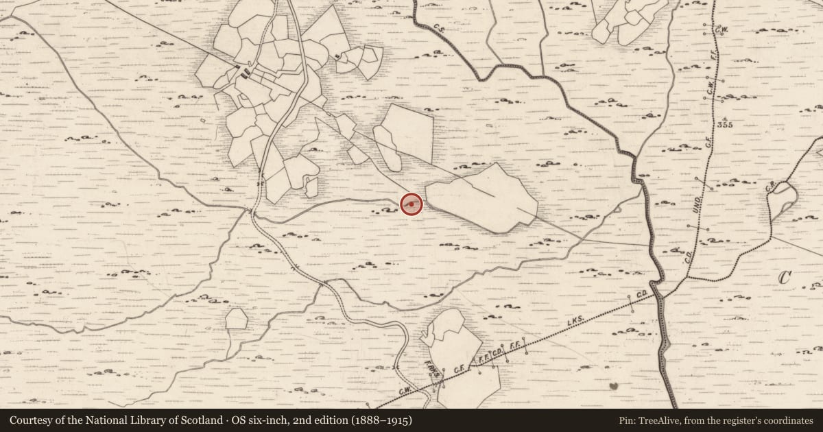 Ordnance Survey six-inch map, 2nd edition (1888–1915) covering the location of Rock art, Derrynablaha, County Kerry, with a pin at the register's coordinates