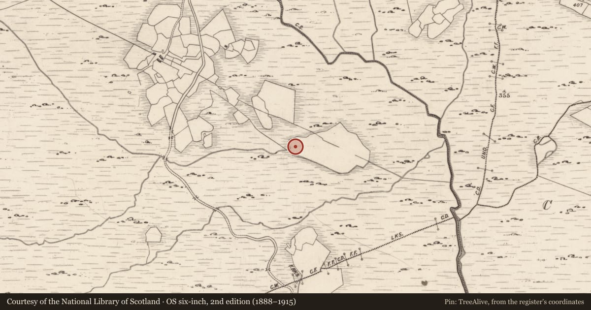 Ordnance Survey six-inch map, 2nd edition (1888–1915) covering the location of Rock art, Derrynablaha, County Kerry, with a pin at the register's coordinates