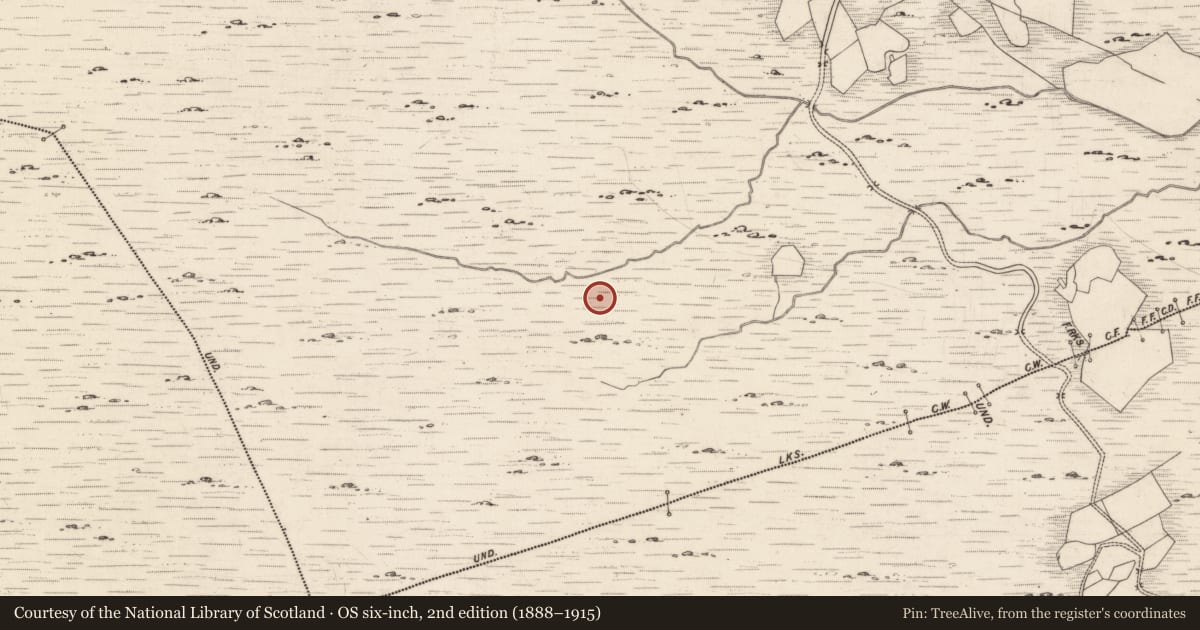 Ordnance Survey six-inch map, 2nd edition (1888–1915) covering the location of Rock art, Derrynablaha, County Kerry, with a pin at the register's coordinates
