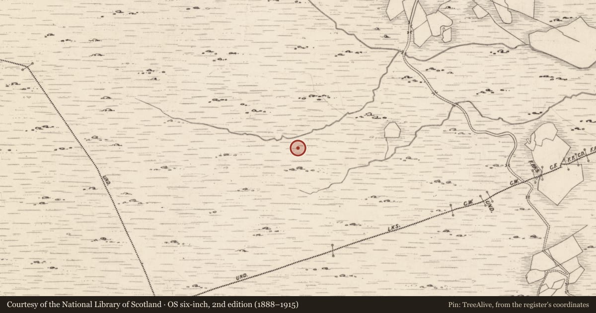 Ordnance Survey six-inch map, 2nd edition (1888–1915) covering the location of Rock art, Derrynablaha, County Kerry, with a pin at the register's coordinates