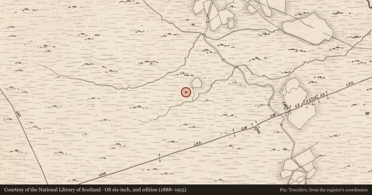 Ordnance Survey six-inch map, 2nd edition (1888–1915) covering the location of Rock art, Derrynablaha, County Kerry, with a pin at the register's coordinates