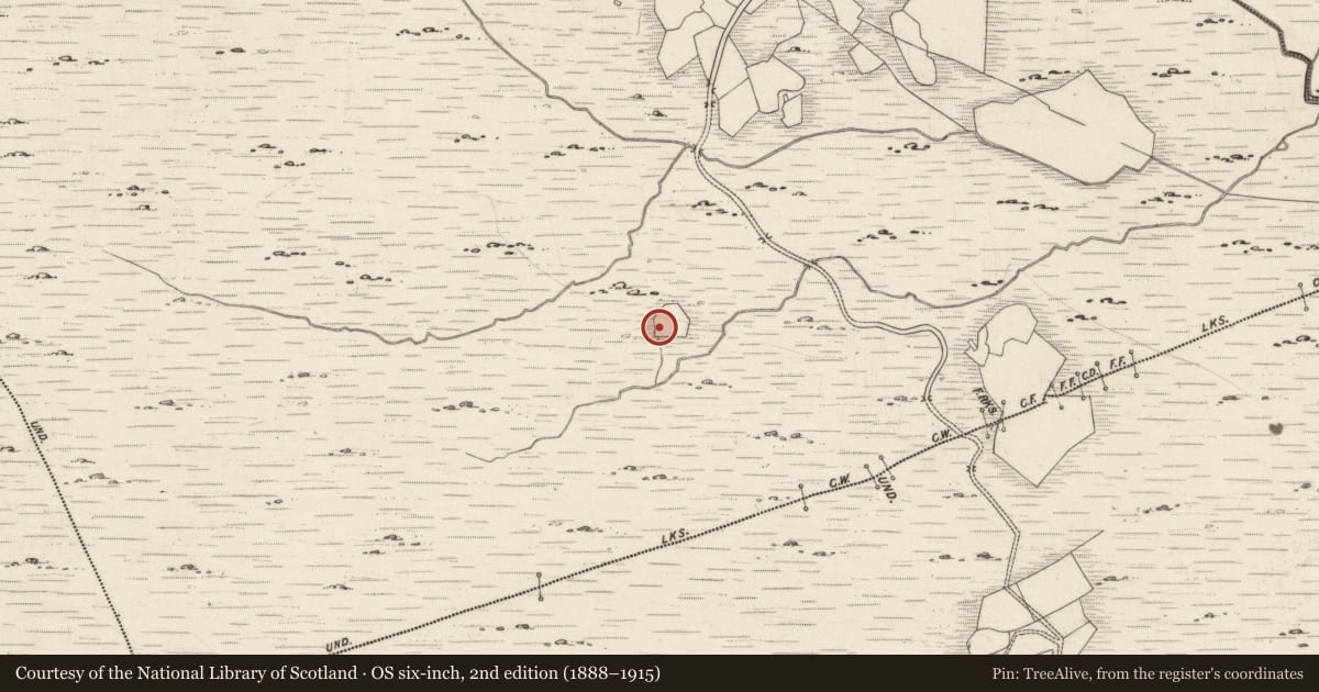 Ordnance Survey six-inch map, 2nd edition (1888–1915) covering the location of Rock art, Derrynablaha, County Kerry, with a pin at the register's coordinates