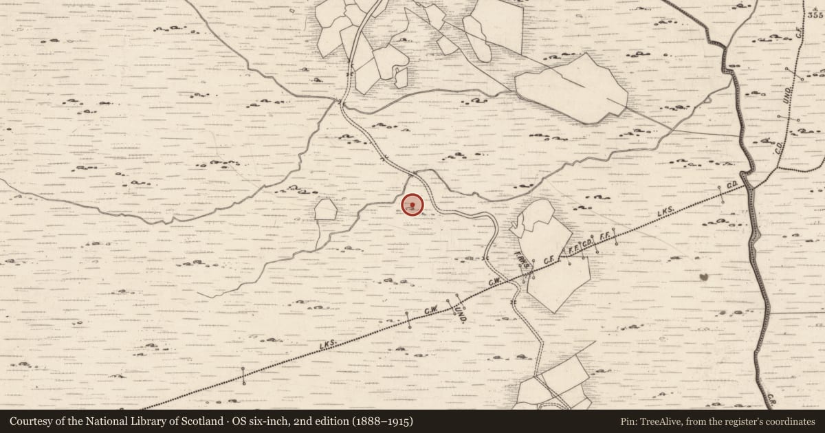 Ordnance Survey six-inch map, 2nd edition (1888–1915) covering the location of Rock art, Derrynablaha, County Kerry, with a pin at the register's coordinates