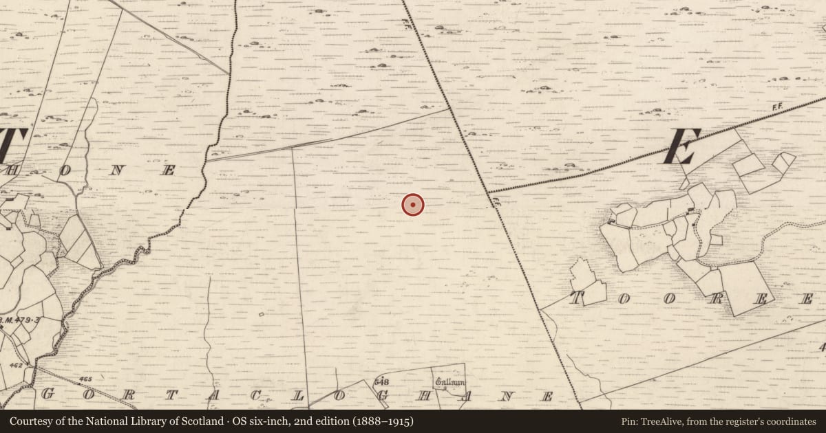 Ordnance Survey six-inch map, 2nd edition (1888–1915) covering the location of Hut site, Gortacloghane, County Kerry, with a pin at the register's coordinates
