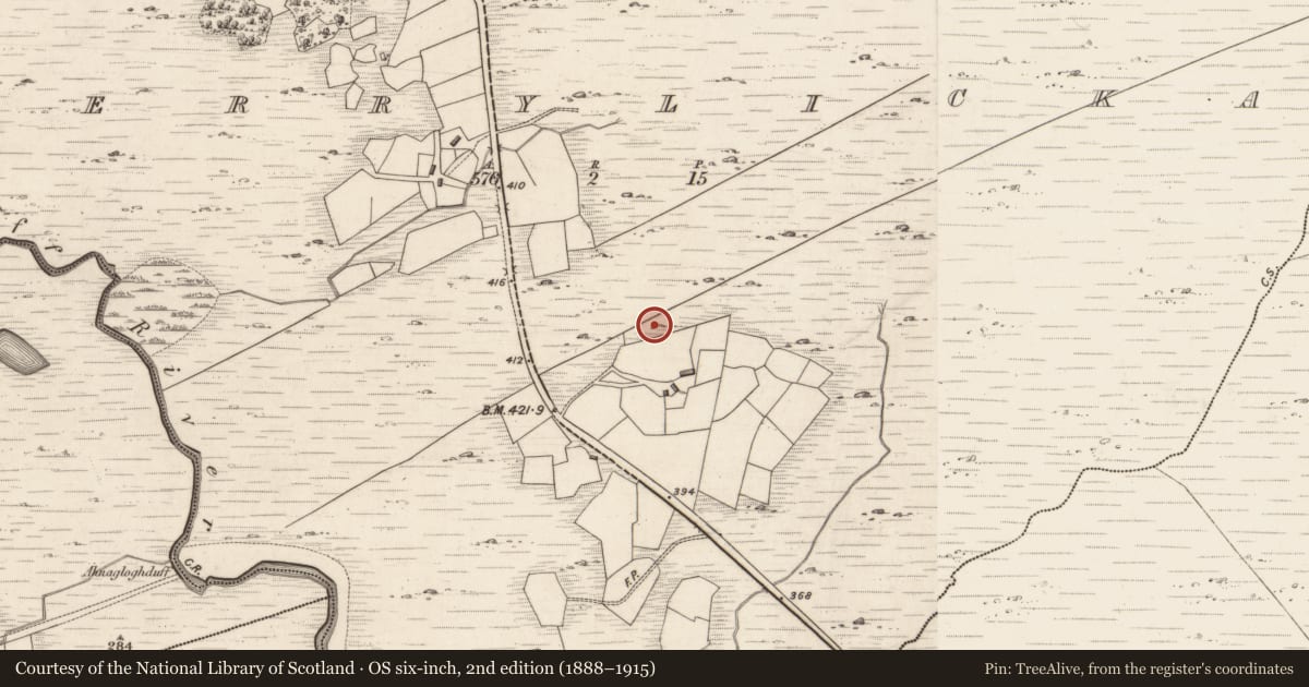Ordnance Survey six-inch map, 2nd edition (1888–1915) covering the location of Stone row, Derrylicka, County Kerry, with a pin at the register's coordinates