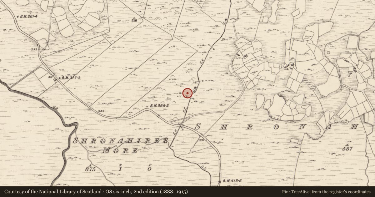 Ordnance Survey six-inch map, 2nd edition (1888–1915) covering the location of Field boundary, Shronahiree Beg, Shronahiree More, County Kerry, with a pin at the register's coordinates
