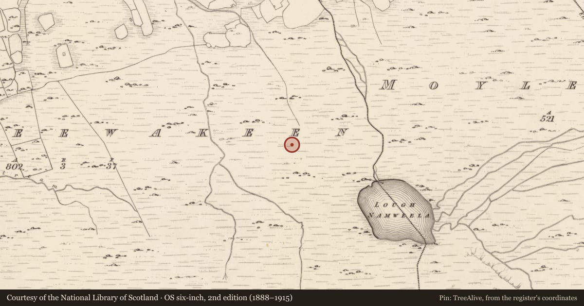 Ordnance Survey six-inch map, 2nd edition (1888–1915) covering the location of Field boundary, Dromteewakeen, County Kerry, with a pin at the register's coordinates