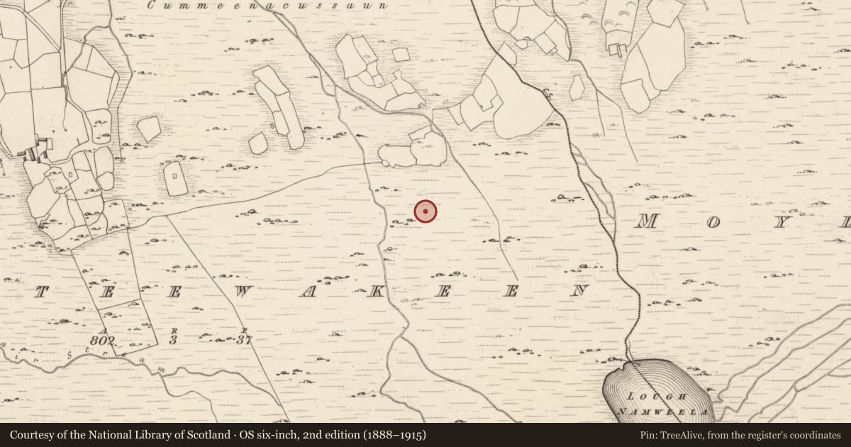Ordnance Survey six-inch map, 2nd edition (1888–1915) covering the location of Enclosure, Dromteewakeen, County Kerry, with a pin at the register's coordinates