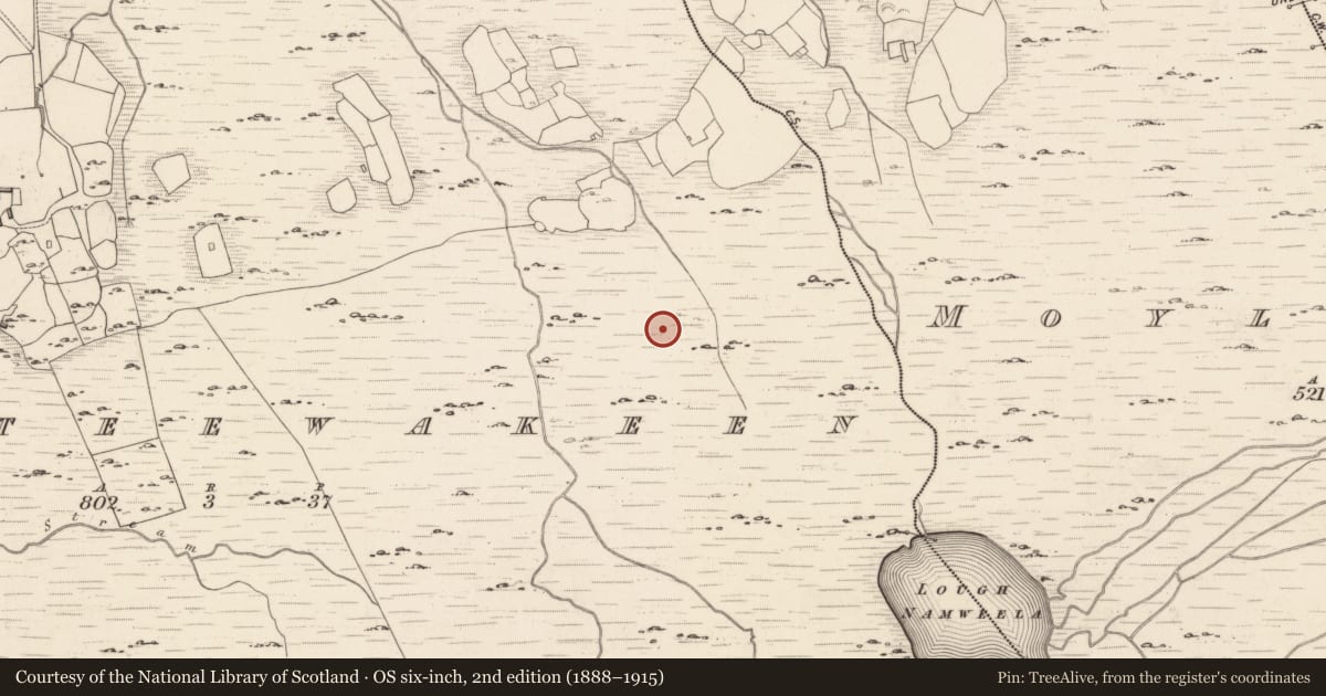 Ordnance Survey six-inch map, 2nd edition (1888–1915) covering the location of Enclosure, Dromteewakeen, County Kerry, with a pin at the register's coordinates