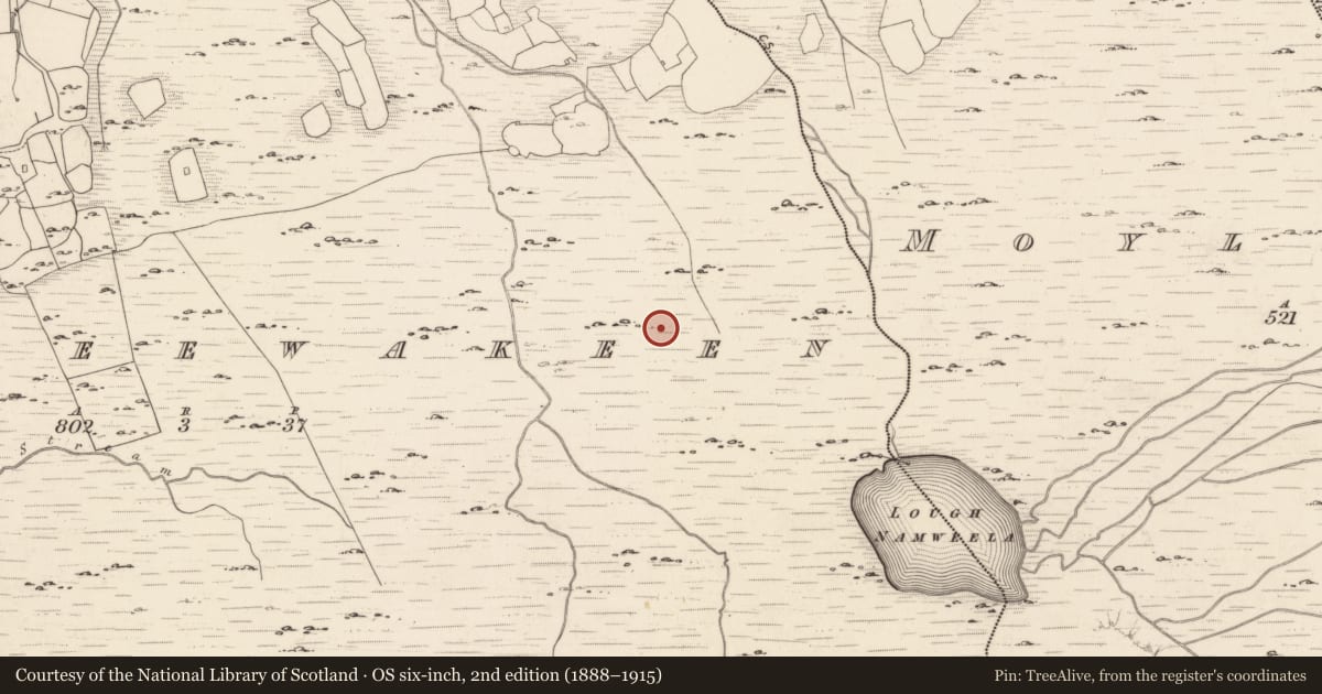 Ordnance Survey six-inch map, 2nd edition (1888–1915) covering the location of Enclosure, Dromteewakeen, County Kerry, with a pin at the register's coordinates