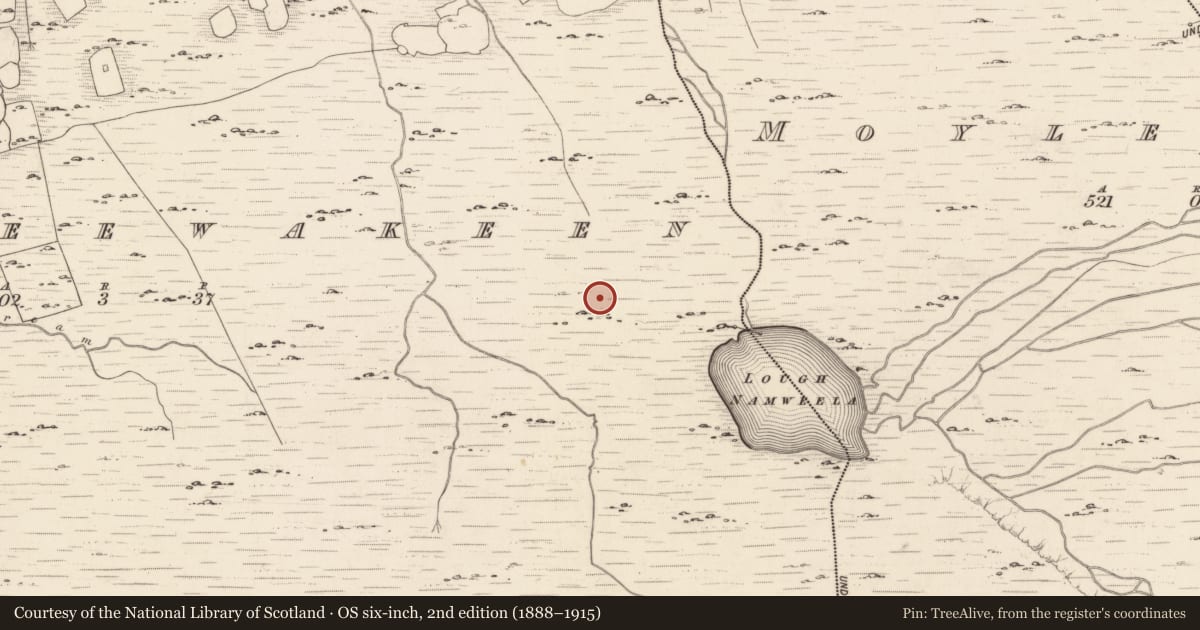 Ordnance Survey six-inch map, 2nd edition (1888–1915) covering the location of Enclosure, Dromteewakeen, County Kerry, with a pin at the register's coordinates