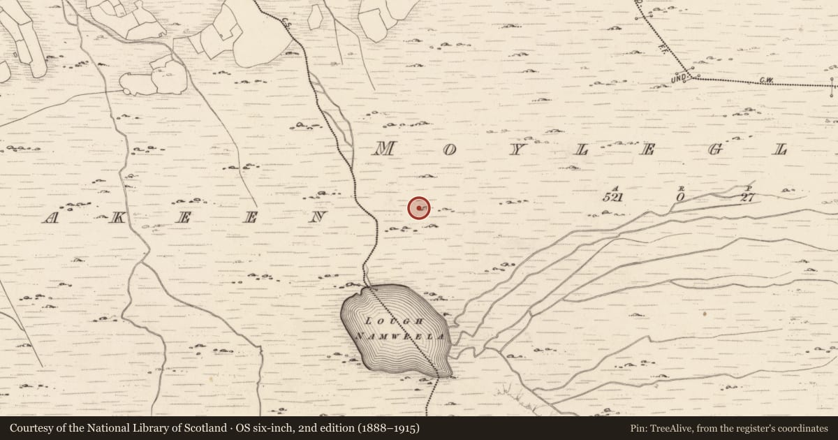 Ordnance Survey six-inch map, 2nd edition (1888–1915) covering the location of Enclosure, Moyleglass, County Kerry, with a pin at the register's coordinates