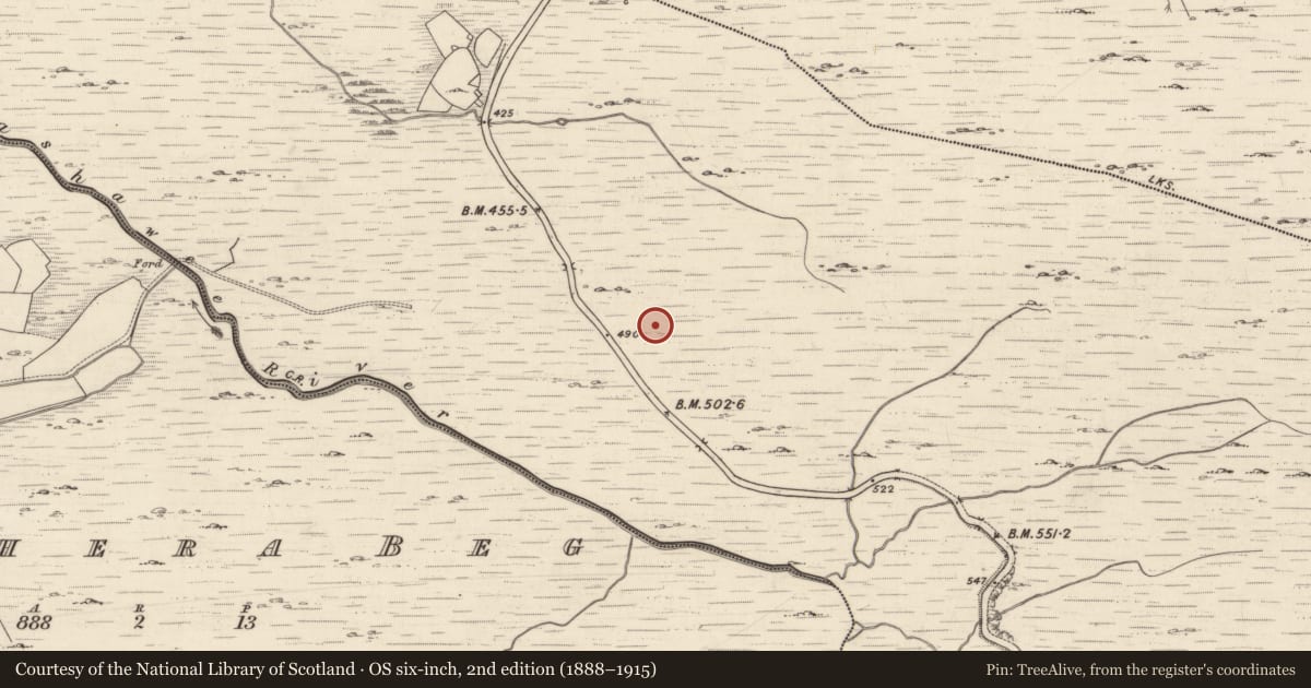Ordnance Survey six-inch map, 2nd edition (1888–1915) covering the location of Field system, Shronahiree More, County Kerry, with a pin at the register's coordinates