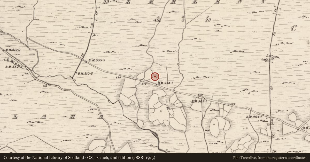 Ordnance Survey six-inch map, 2nd edition (1888–1915) covering the location of Rock art, Derreeny, County Kerry, with a pin at the register's coordinates