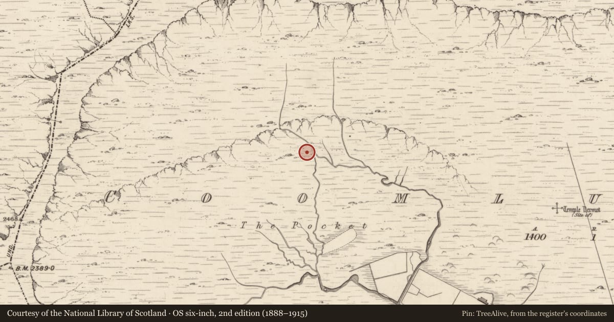 Ordnance Survey six-inch map, 2nd edition (1888–1915) covering the location of Clochan, Coomlumminy, County Kerry, with a pin at the register's coordinates