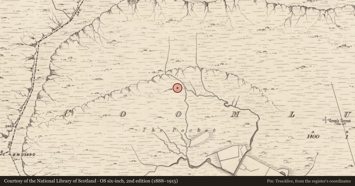 Ordnance Survey six-inch map, 2nd edition (1888–1915) covering the location of Hut site, Coomlumminy, County Kerry, with a pin at the register's coordinates