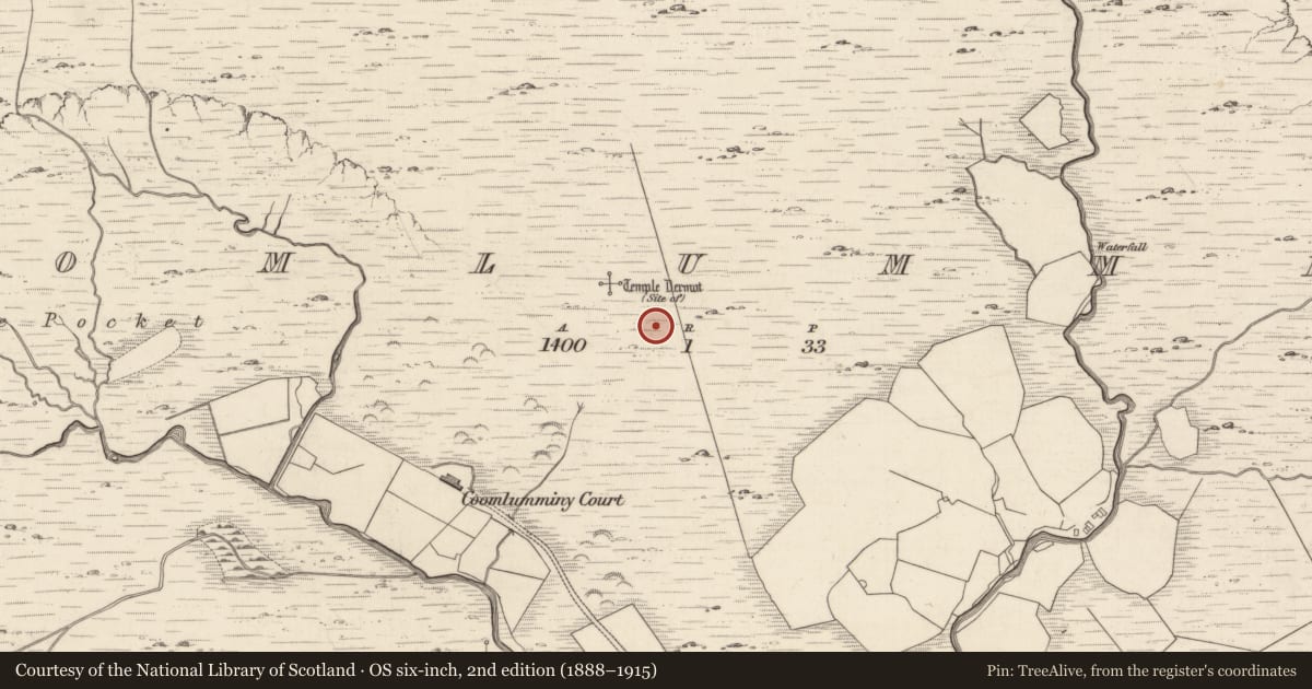 Ordnance Survey six-inch map, 2nd edition (1888–1915) covering the location of Hut site, Coomlumminy, County Kerry, with a pin at the register's coordinates