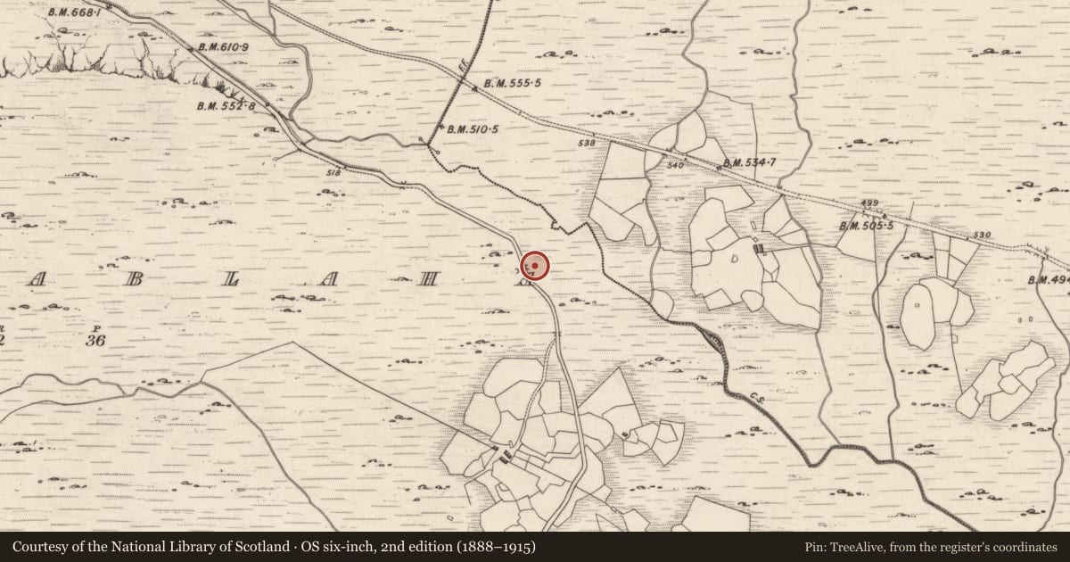 Ordnance Survey six-inch map, 2nd edition (1888–1915) covering the location of Road - gravel/stone trackway - peatland, Derrynablaha, County Kerry, with a pin at the register's coordinates