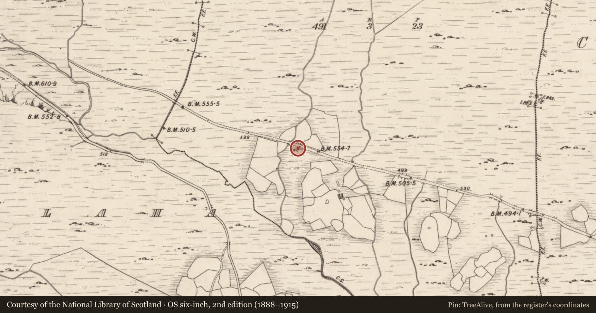 Ordnance Survey six-inch map, 2nd edition (1888–1915) covering the location of Rock art, Derreeny, County Kerry, with a pin at the register's coordinates