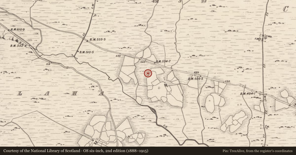 Ordnance Survey six-inch map, 2nd edition (1888–1915) covering the location of Rock art, Derreeny, County Kerry, with a pin at the register's coordinates