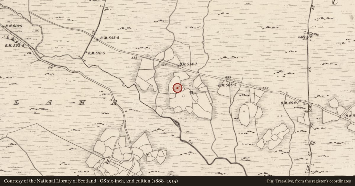 Ordnance Survey six-inch map, 2nd edition (1888–1915) covering the location of Rock art, Derreeny, County Kerry, with a pin at the register's coordinates