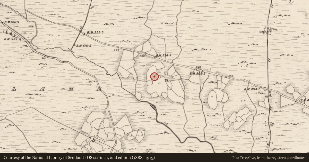 Ordnance Survey six-inch map, 2nd edition (1888–1915) covering the location of Rock art, Derreeny, County Kerry, with a pin at the register's coordinates