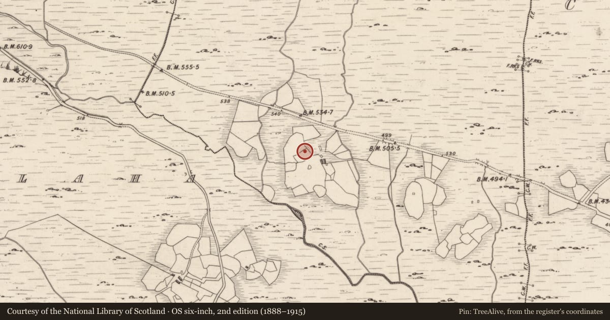 Ordnance Survey six-inch map, 2nd edition (1888–1915) covering the location of Rock art, Derreeny, County Kerry, with a pin at the register's coordinates
