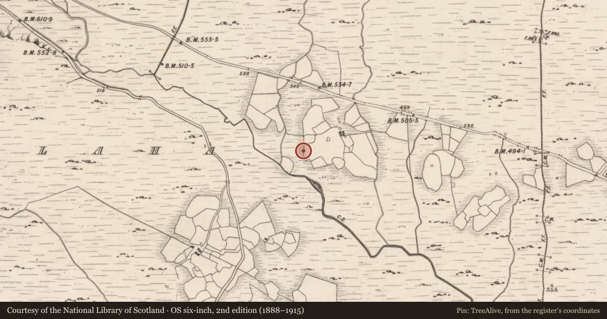 Ordnance Survey six-inch map, 2nd edition (1888–1915) covering the location of Rock art, Derreeny, County Kerry, with a pin at the register's coordinates