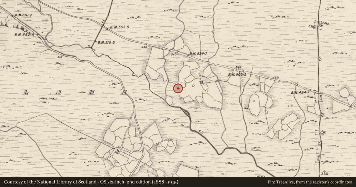 Ordnance Survey six-inch map, 2nd edition (1888–1915) covering the location of Rock art, Derreeny, County Kerry, with a pin at the register's coordinates