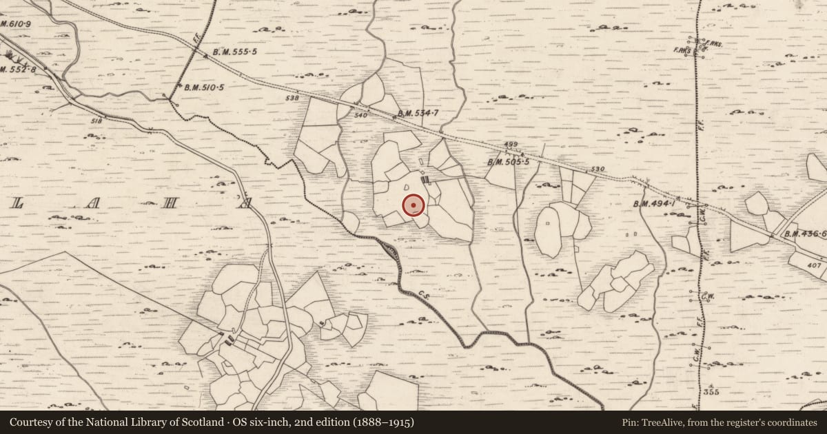 Ordnance Survey six-inch map, 2nd edition (1888–1915) covering the location of Rock art, Derreeny, County Kerry, with a pin at the register's coordinates