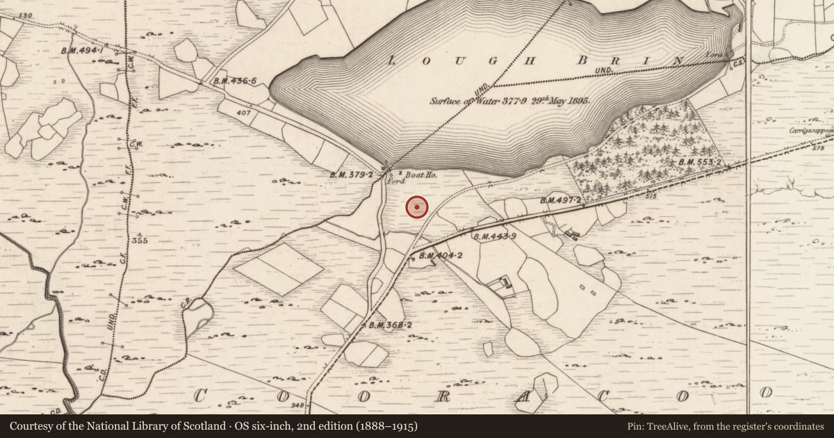 Ordnance Survey six-inch map, 2nd edition (1888–1915) covering the location of Standing stone, Cooracoosane, County Kerry, with a pin at the register's coordinates